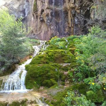 Фотографии Лоджи Cabana Cascada г. Vidra (Румыния) №2 Фото Лоджи Cabana Cascada г. Vidra 2