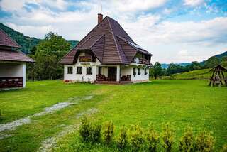 Фото Гостевой дом Pensiunea Casa Iancului г. Vidra